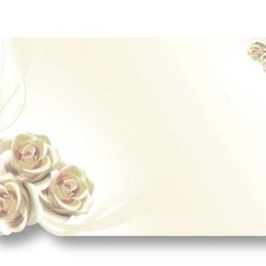 50 White Roses Die Cut Enclosure Cards Envelopes Flowers Gifts Messages